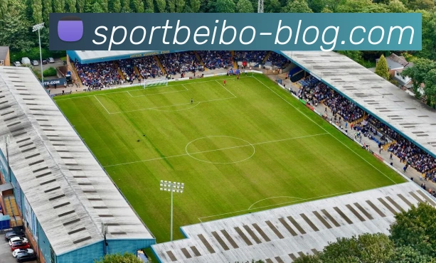 App Interface Preview